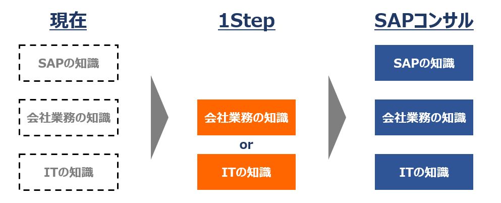 SAPコンサルへのスキル身に付けイメージ