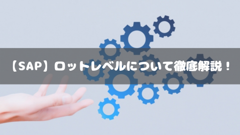 【SAP】ロットレベルについて徹底解説！